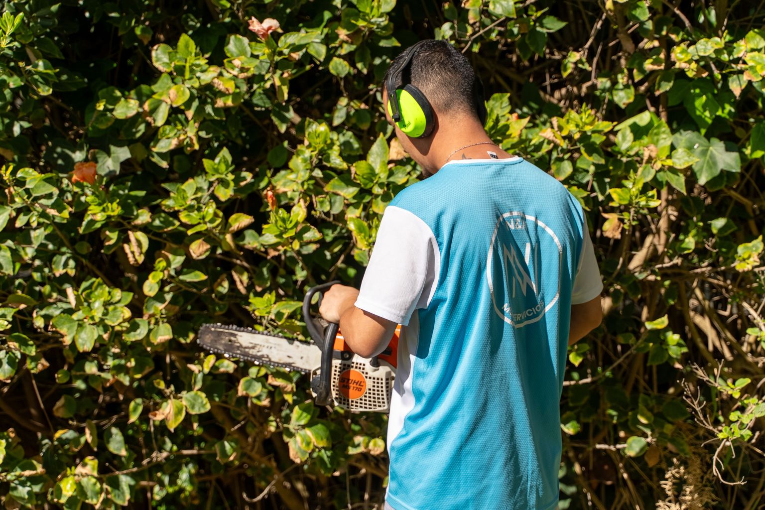 mantenimiento jardines marbella