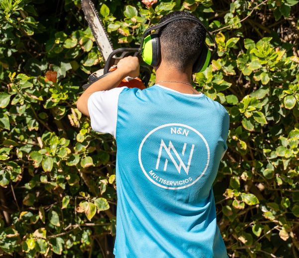 mantenimiento jardines marbella